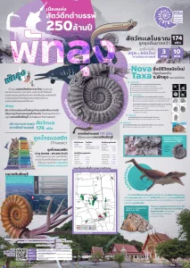 โปสเตอร์ Roll up Poster Brochure งานเทศกาลซากดึกดำบรรพ์พัทลุง ครั้งที่ 2 (Phatthalung Fossil Festival#2)