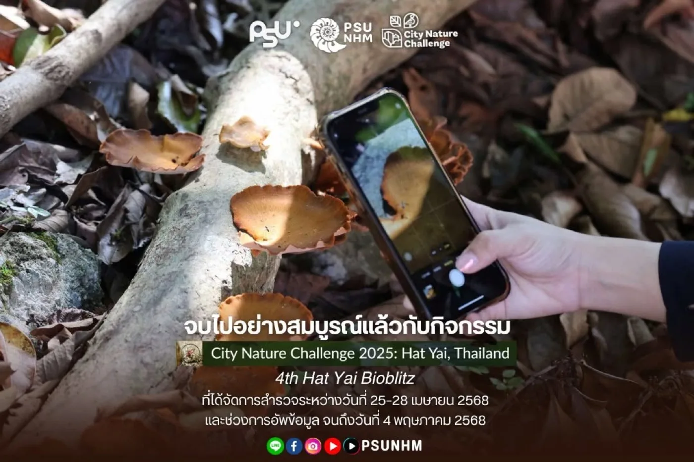 ผู้ร่วมกิจกรรมสำรวจธรรมชาติในเมืองหาดใหญ่ระหว่าง City Nature Challenge 2025