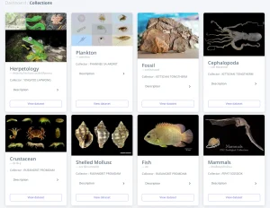 Biodiversity Databases for Conservation and Sustainable Land Management