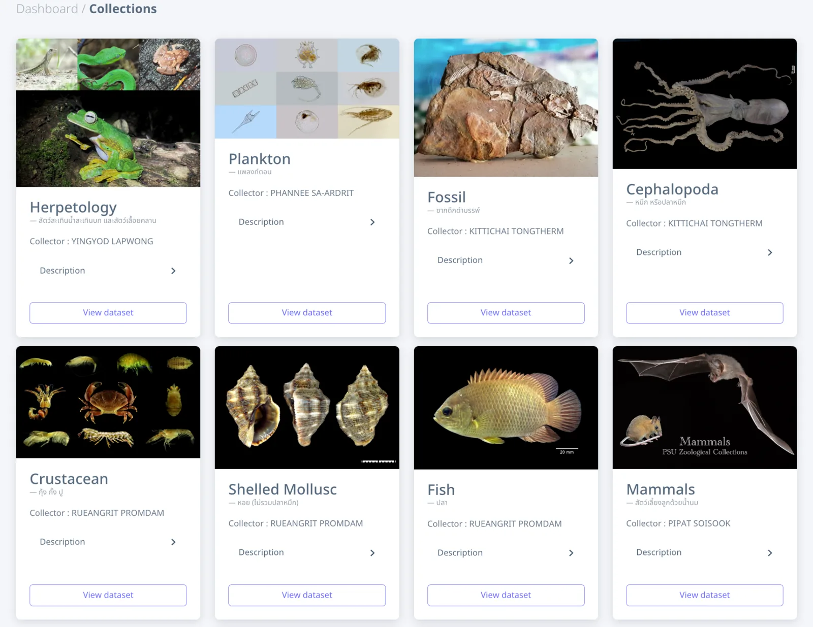 PSUNHM Collections dashboard — biodiversity databases for plants, animals, fungi and museum specimens